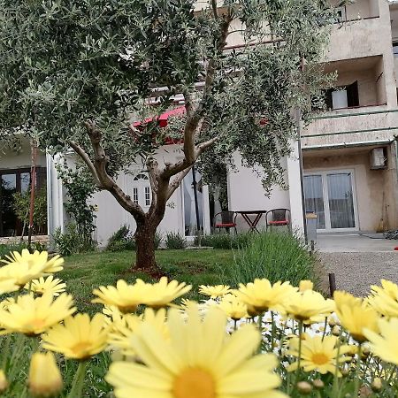 Leona Apartment Vidikovac, 普拉 外观 照片