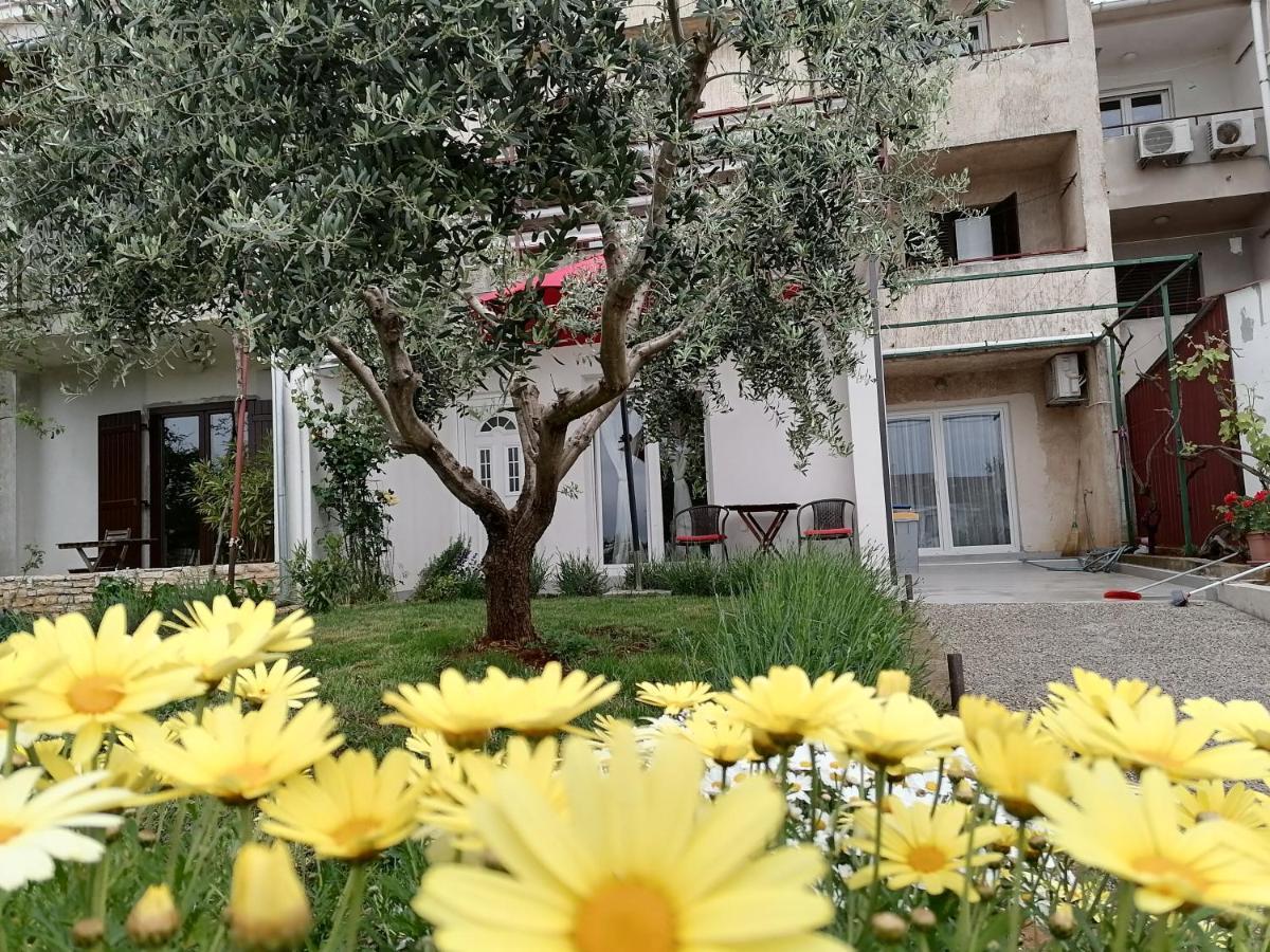 Leona Apartment Vidikovac, 普拉 外观 照片