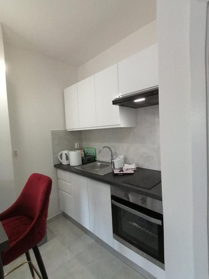 Leona Apartment Vidikovac, 普拉 外观 照片