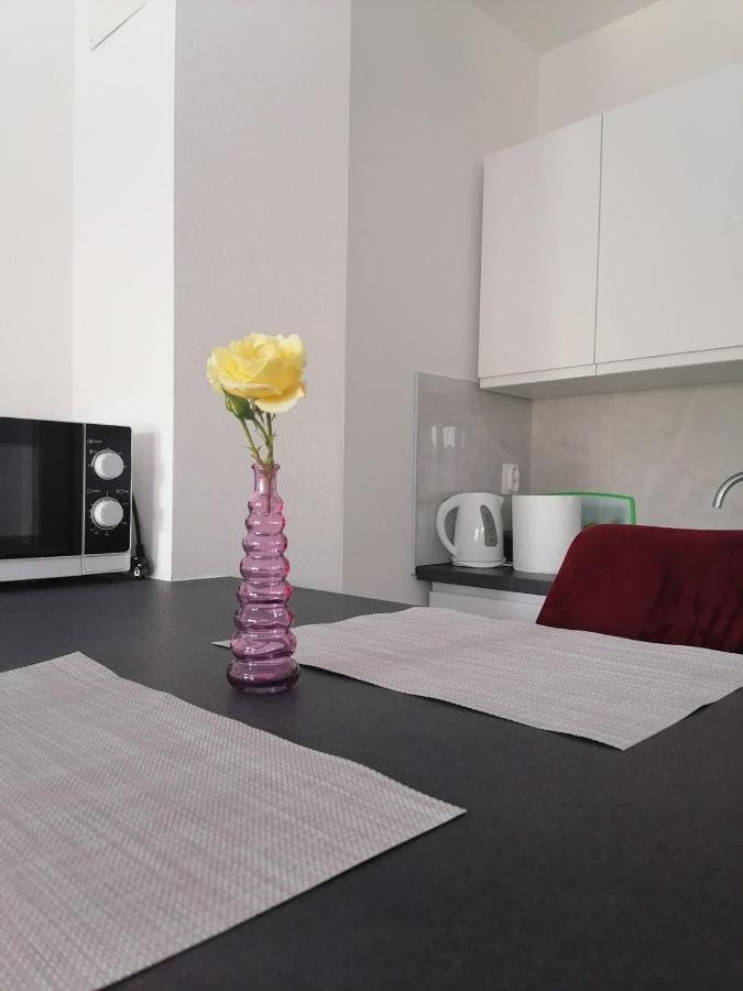 Leona Apartment Vidikovac, 普拉 外观 照片
