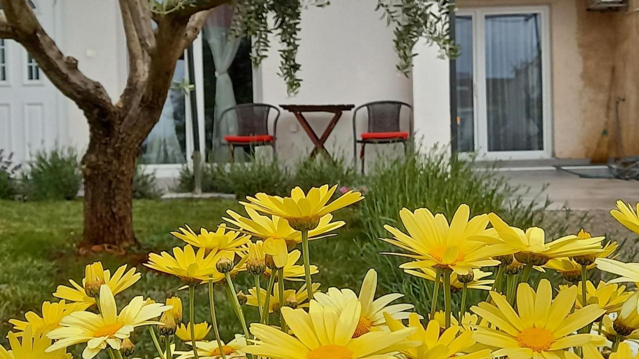 Leona Apartment Vidikovac, 普拉 外观 照片